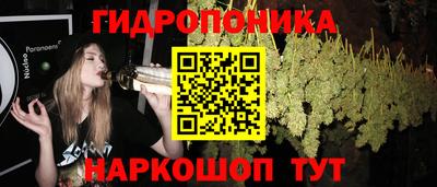 молекула духа Ликино-Дулёво