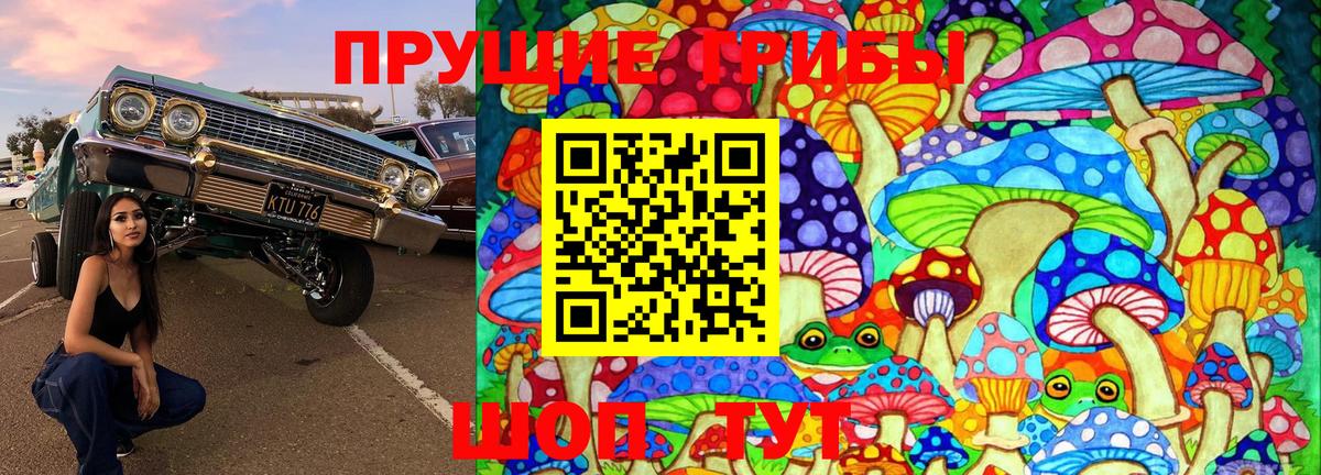 Псилоцибиновые грибы Psilocybe  Галлюциногенные грибы MAGIC MUSHROOMS  Вход с VPN  Иваново 