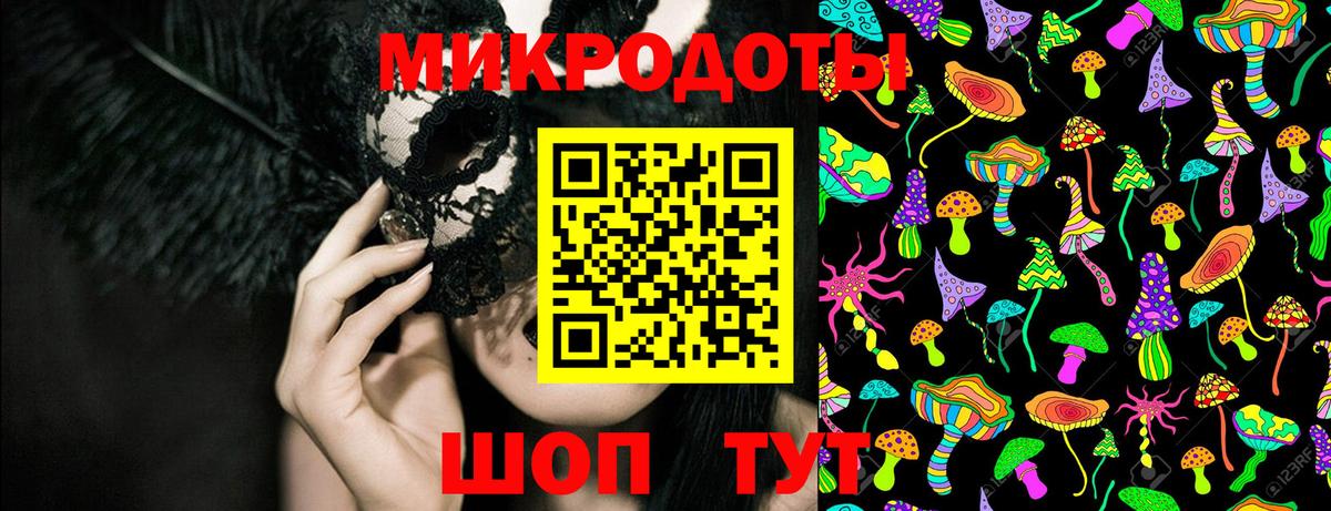 Галлюциногенные грибы Psilocybe Иваново